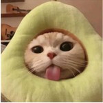 Nän Süwënnëe profile icon