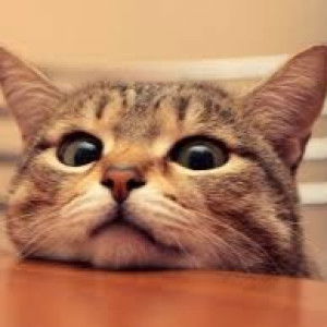 ชลธิชา กองโคกกรวด profile icon