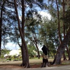 Aisyah Zulkhanain profile icon