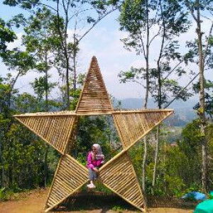 Nika Mulyasari profile icon