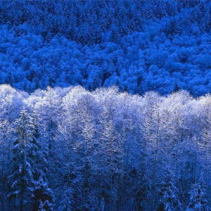 Samihah Ihah profile icon