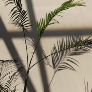 nisa nur azizah profile icon