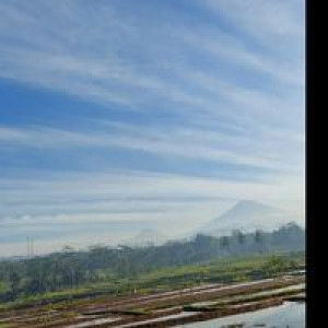 Rahmawati Fauziah profile icon