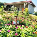 Satang Tanawat profile icon