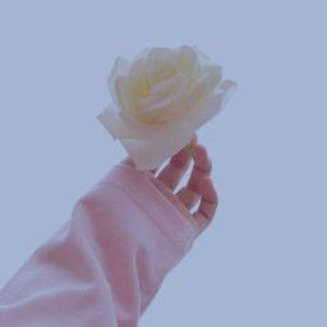 tanpa nama profile icon