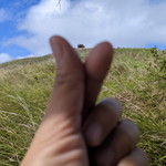 Joy Barti profile icon