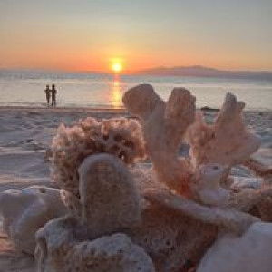 Fatma Raisha profile icon