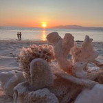 Fatma Raisha profile icon