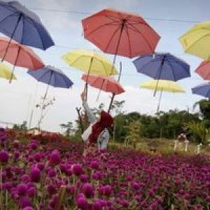 Sum Maya Mayati profile icon