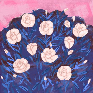 Siti Aminah profile icon