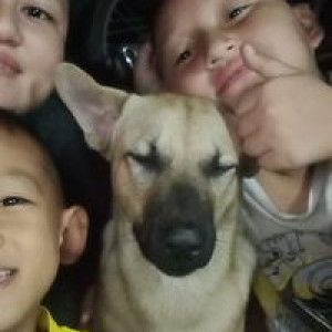 ไพโรจน์ ยิ้ม profile icon