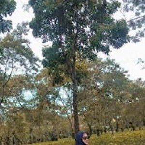 Lia hamid profile icon