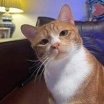 Mailwan Oatram profile icon