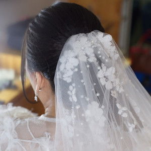 Yoshi Moshi profile icon