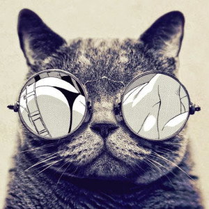 Shila Lola profile icon