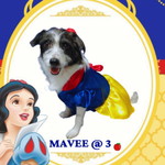 Jhareen Ellyse Hernandez profile icon