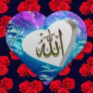 Nur Hasni profile icon