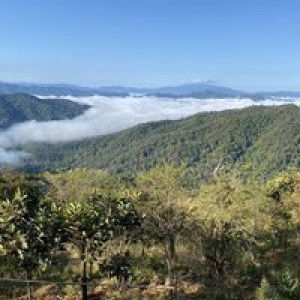 สายลม แสงแดด profile icon