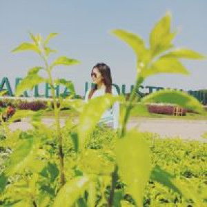 Dede Irma profile icon