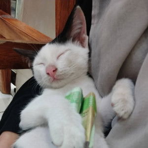 Esti Prtw profile icon