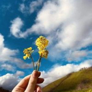 Sasiwimol Phosawan profile icon