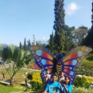 Himawari Hanna Ferdiant profile icon