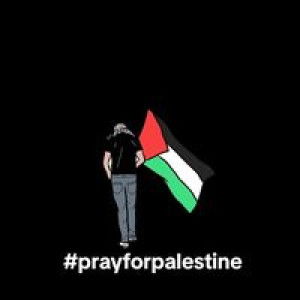 Nur Ain profile icon