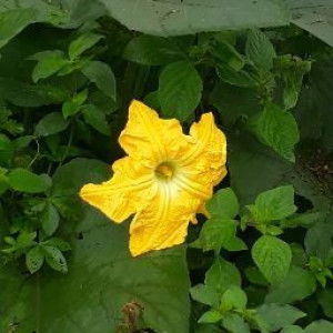 Rosita Dewi profile icon