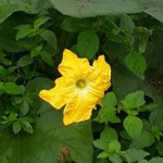 Rosita Dewi profile icon