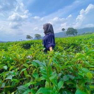 Shinta Putri profile icon