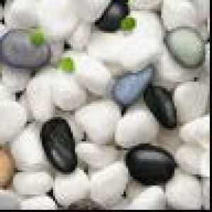 Anne Kristel Sibayan profile icon