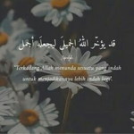 Ummu Alhumairo profile icon