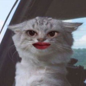 Dewi Putri profile icon