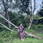 Shiela Ahmad profile icon