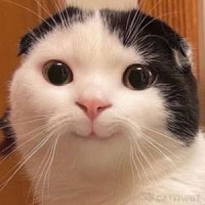 Janjaemphob Wannaporn profile icon