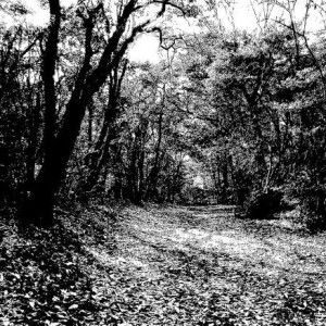 Fitri Ummu profile icon