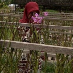 Saptina Dirman profile icon