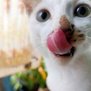 Surtiwana profile icon