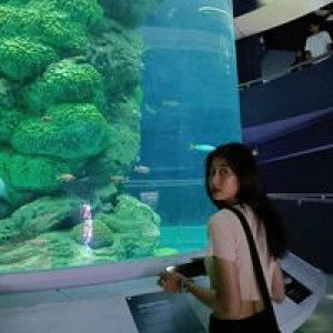 Sirintra Kr profile icon