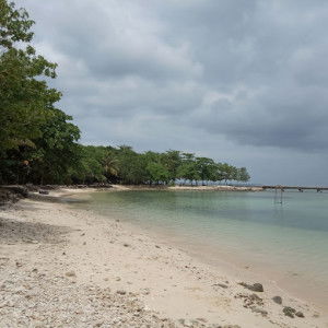 Siska Setyaningsih profile icon