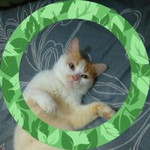 Cemplukgx Poenya Diya Slalow profile icon