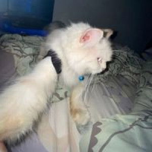 ทราย' จ๋าา. profile icon