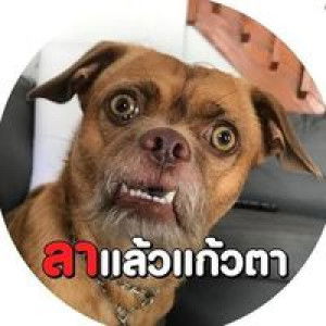 ไห้ได้หมด อย่าทรยศกันก็พอ. profile icon