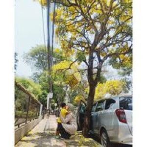 Iraidatul Hilal profile icon