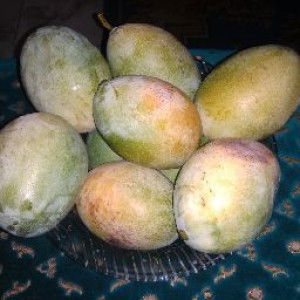 yosika inggi profile icon