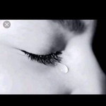 ماريسا لابوت حسن profile icon