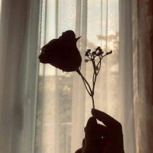 olla 12 profile icon