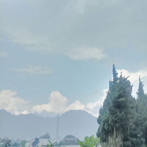 Adra aira profile icon