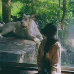 ไอ อุ่น profile icon