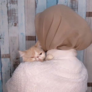 Adela Tiara Sari profile icon